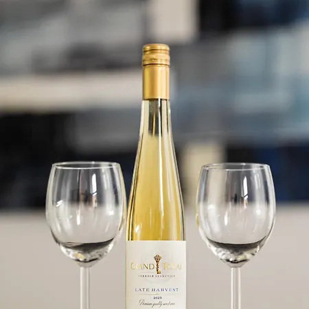 Standard By-central Comfort דירה בודפשט